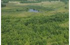 Property photo 15 - 1,025 Acres in 24 Tracts - Exellent Recreation Opportunity - Potential Building Sites - 11 Lakes & Ponds